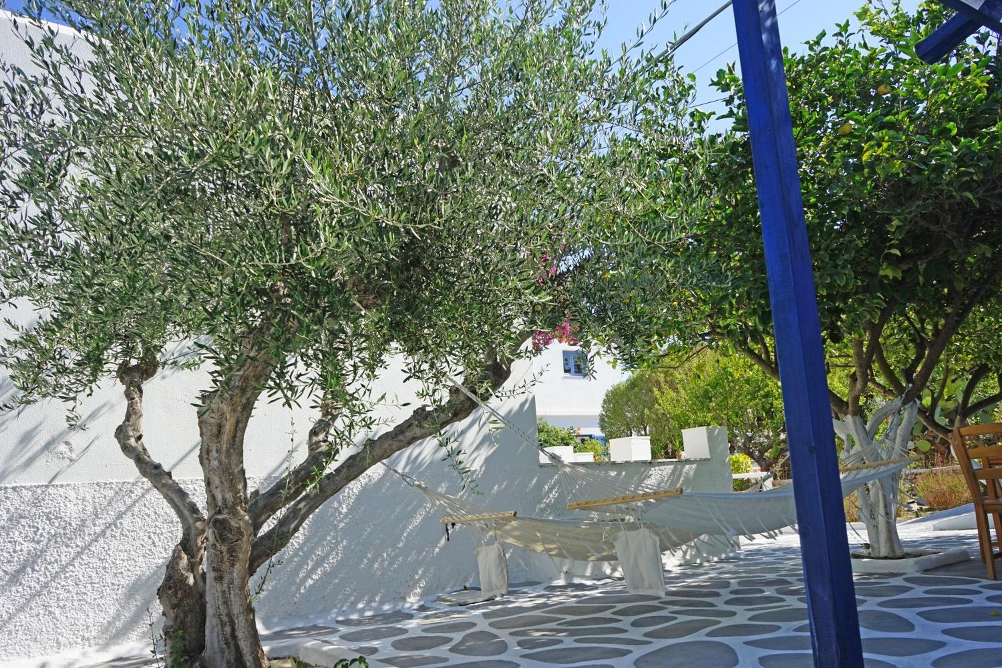 Klironomos Apartments Logaras Rum bild